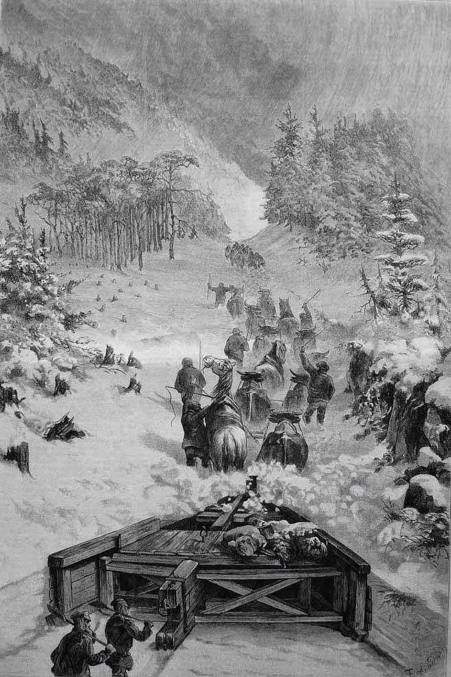 Ochsenpaare_Winter_Straße_nach_Oberhof